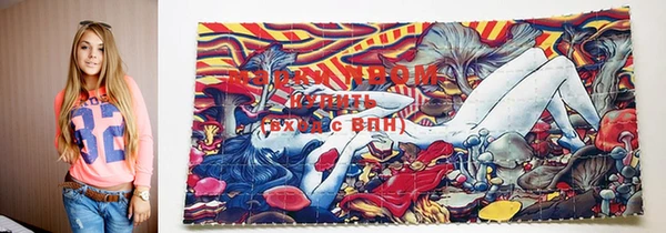 spice Волоколамск