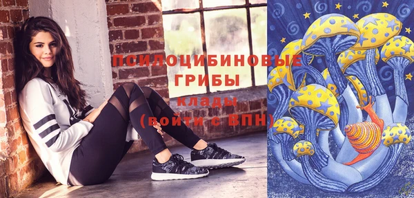 сатива Верея